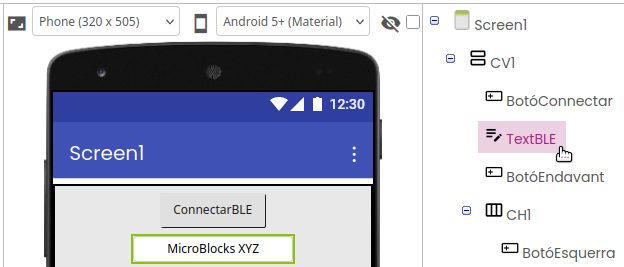 Botó i text per la connexió