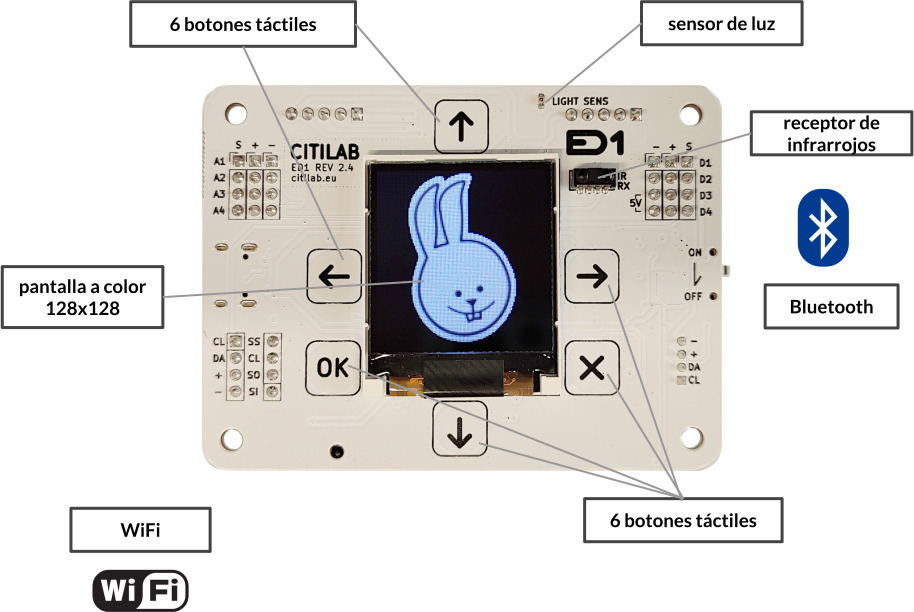 ED1 frontal