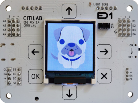 Real Dog Image